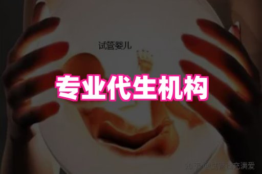 821孕网 2