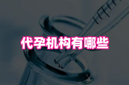 821孕网 3