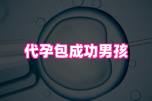 821孕网 4